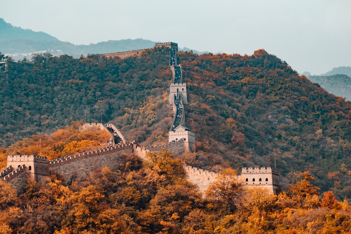 多乐橙办公环境 2